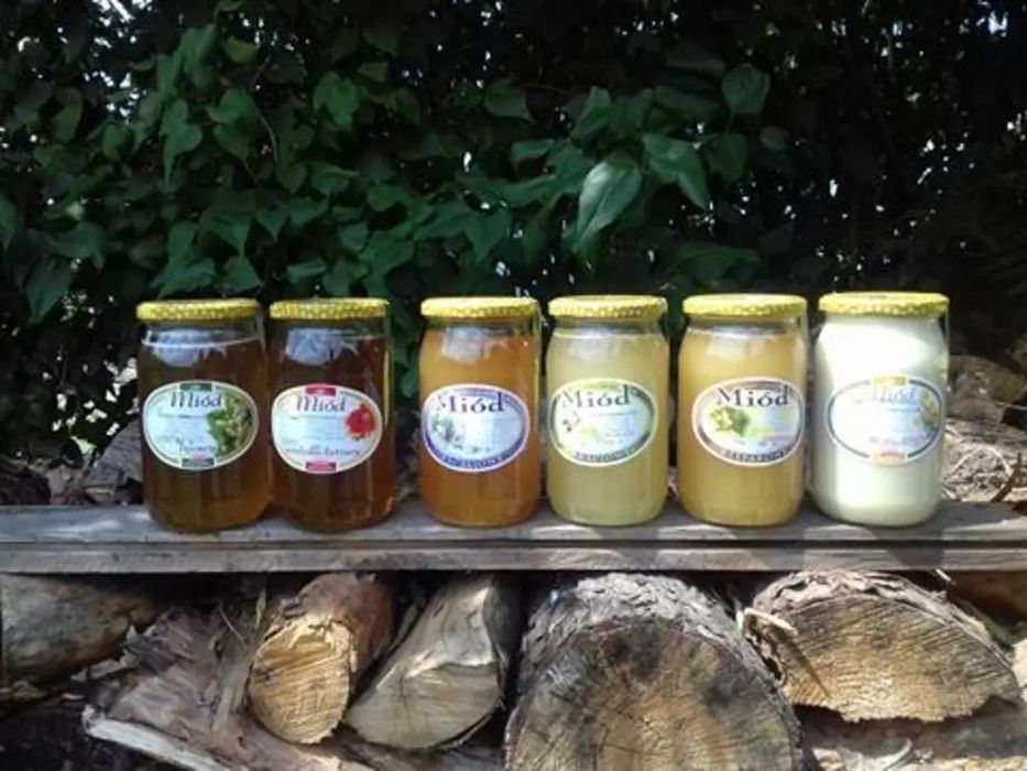 Miód eko. Wielokwiat rzepak akacja facelia gryka miejski naturalny
