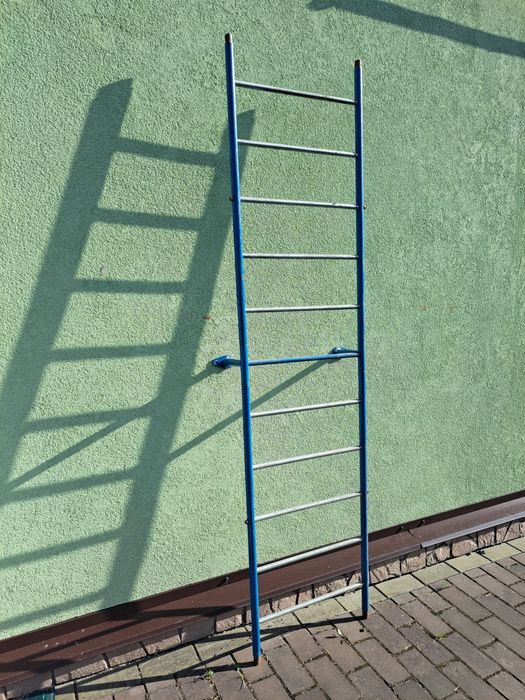 Господарська приставна драбина