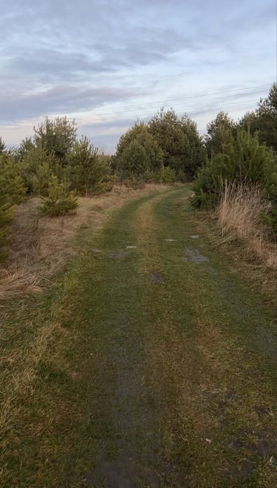 Терміново продаж ділянки 0,25