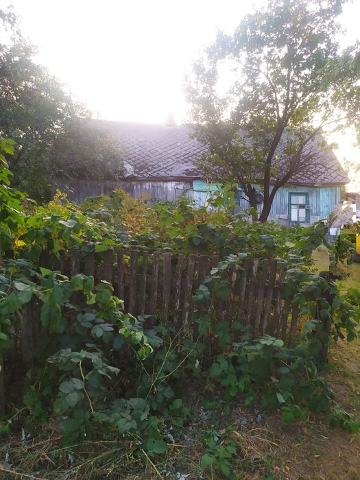 Земельна ділянка зі старим будинком без перебоїв в електропостачанні