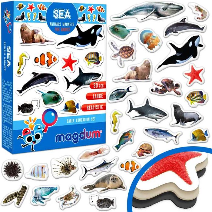 Магніти Magdum Реальні фото: Тварини, птахи, океан, фрукти ягоди