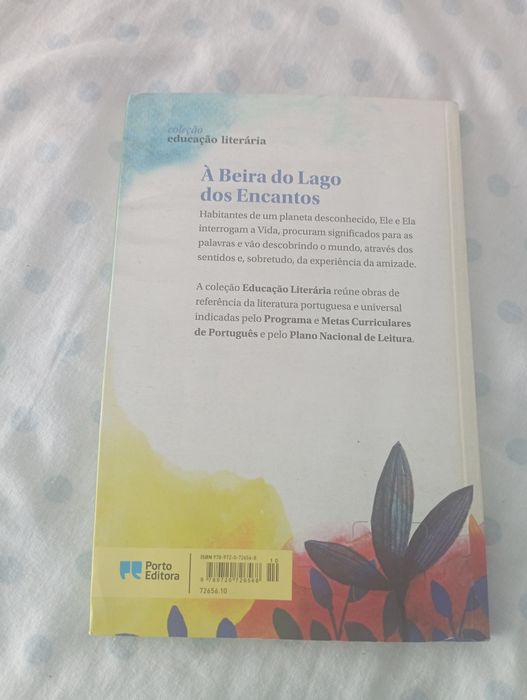 À beira do lago dos encantos