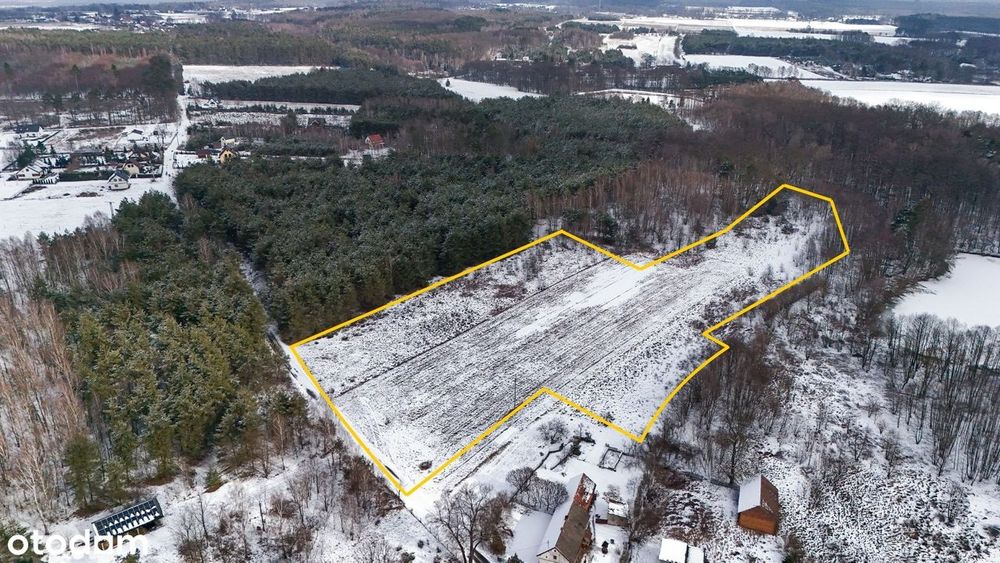 Piękna działka inwestycyjna, staw, las I Drogoszowice pod Oleśnicą