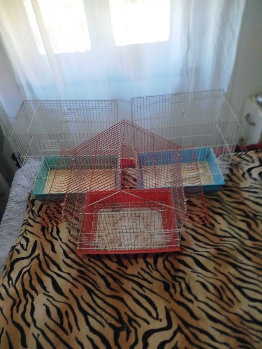 Gaiolas para venda