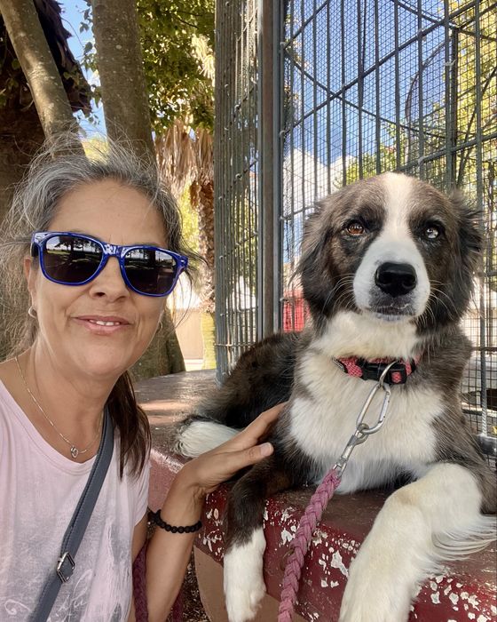 Dog walking e Pet sitting ao domicílio -