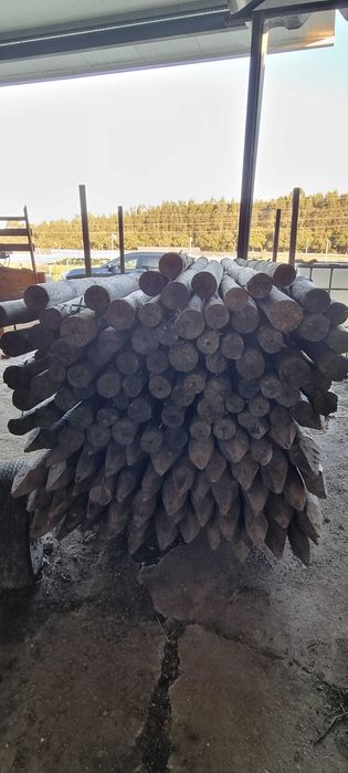 Paus tratados para plantação de pomar