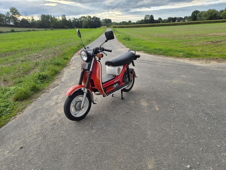Simson