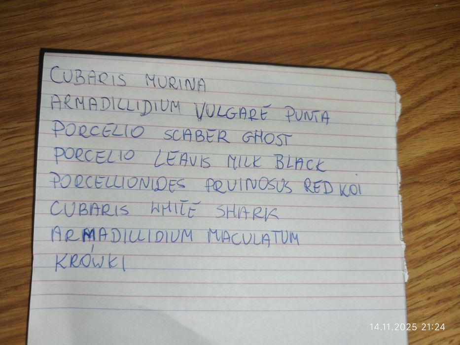 Isopody, 8 gatunków, cała hodowla