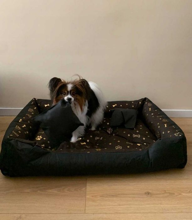 Legowisko Kojec Posłanie Wodoodporne 100x75 Cm Nowe pies kot