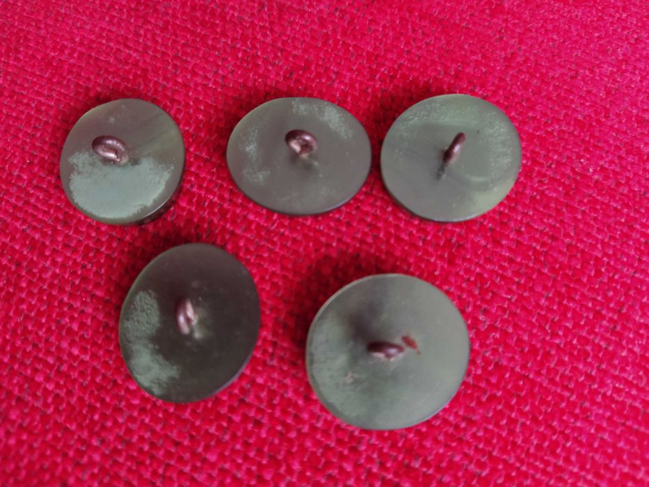 Conjunto 5 Botões Massa 2,5cm oval verde com pé metal