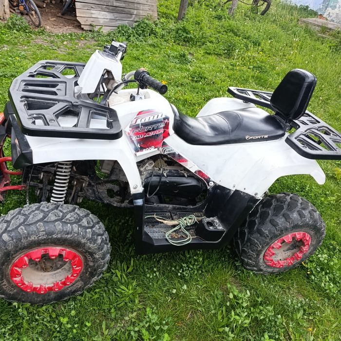 Forte braves 200