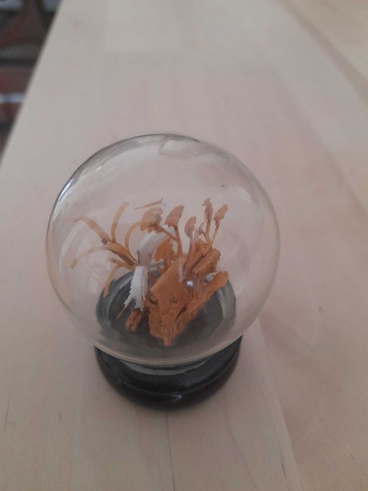 Globo com escultura chinesa