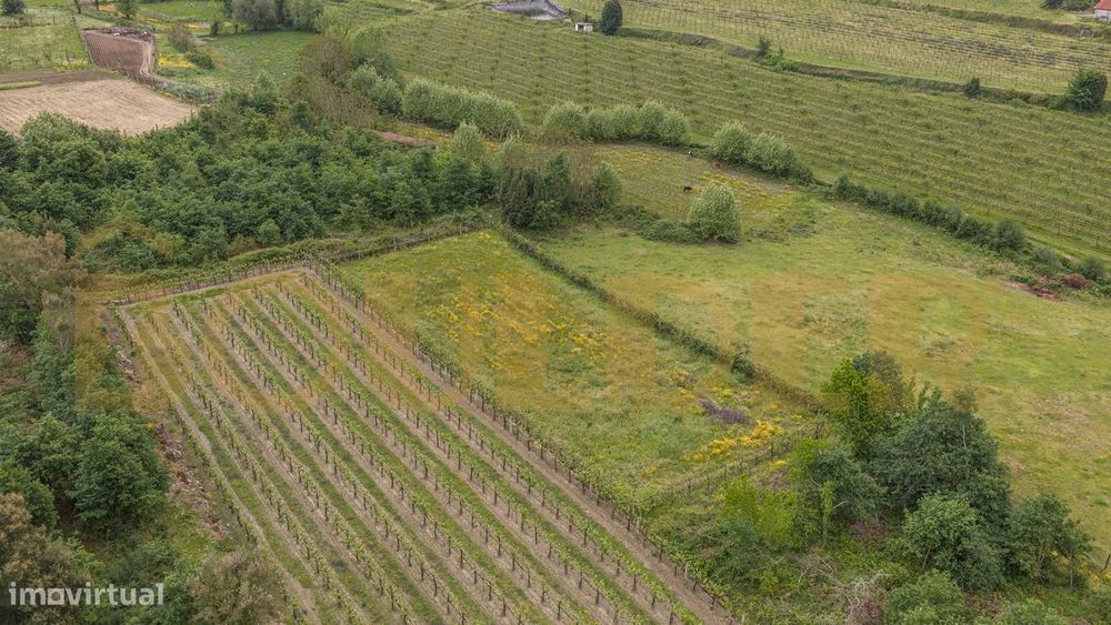 Terreno agrícola em Monsul
