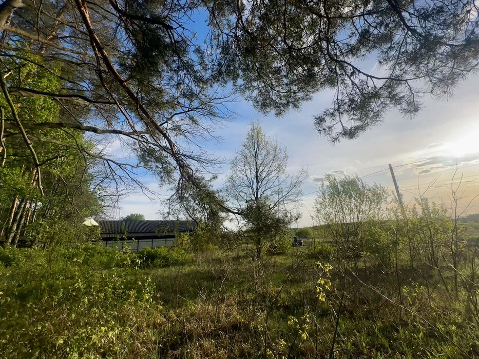 Романівка Ірпінь 6 соток під будівництво будинку