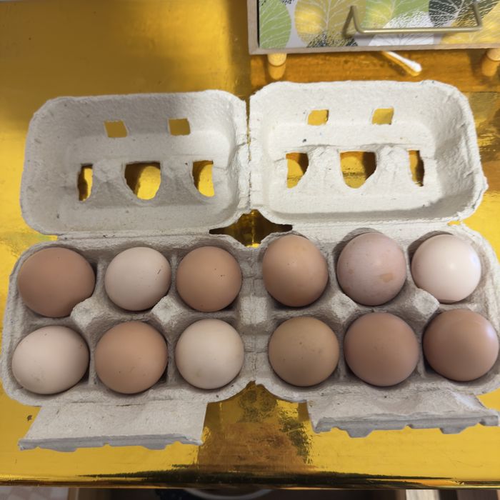 Ovos Caseiros Frescos
