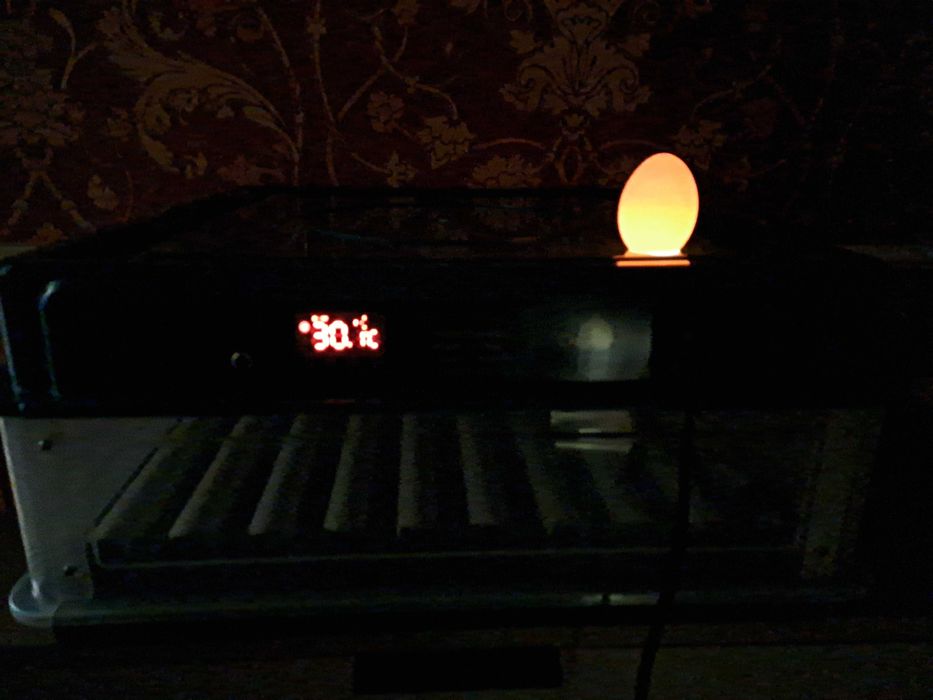 Інкубатор автоматичний на 48 яєць з роликовим механізмом 220/12В