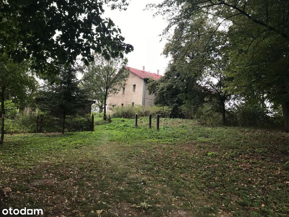 Dom – Milice, powiat kędzierzyńsko-kozielski - Widok 2