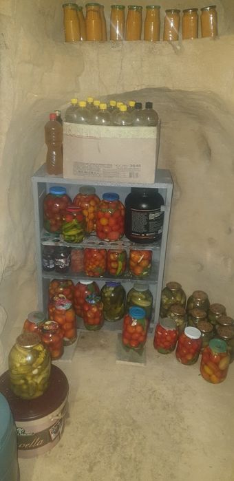 Дом Дача в селі Мельники біля лісу ,участок 48 соток. Місто в яке не можна не закохатися!