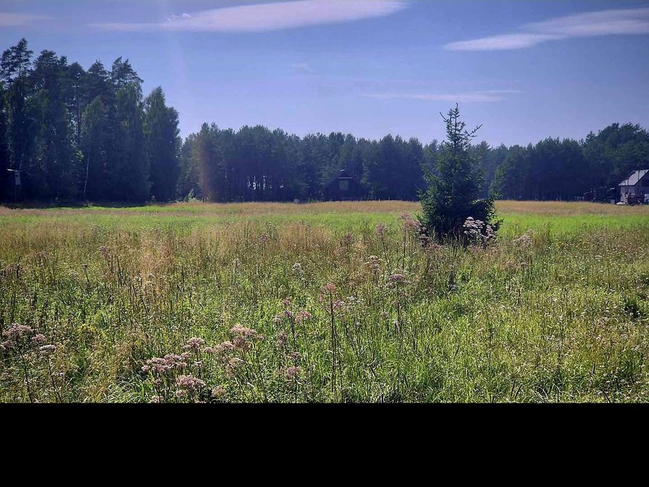 Działka budowla - Gorczyca, gm. Płaska,Puszcza Augustowska