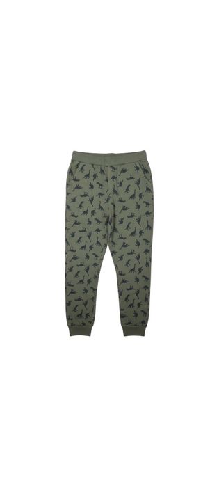 Zestaw 9 ubrań chłopięcych Pepco H&M Sinsay C&A 140