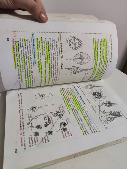 Biologia dla klasy I liceum ogólnokształcącego
