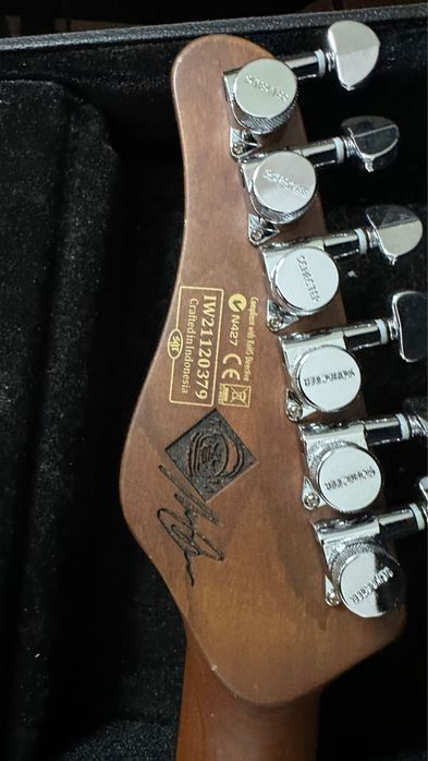 Schecter Nick Johnston