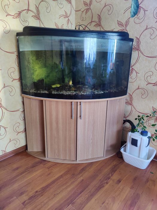 Акваріум 380 літрів