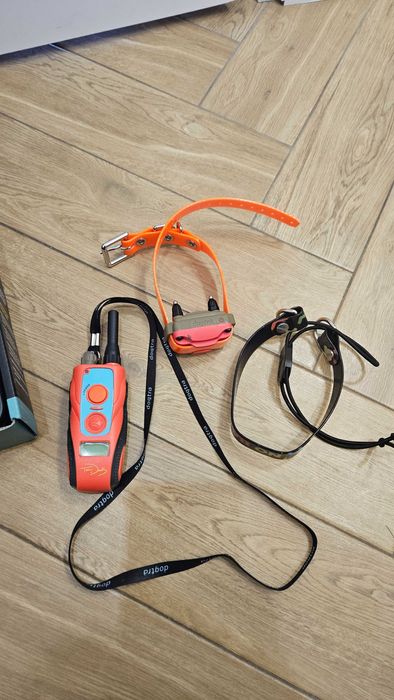 Smycz elektryczna Dogtra