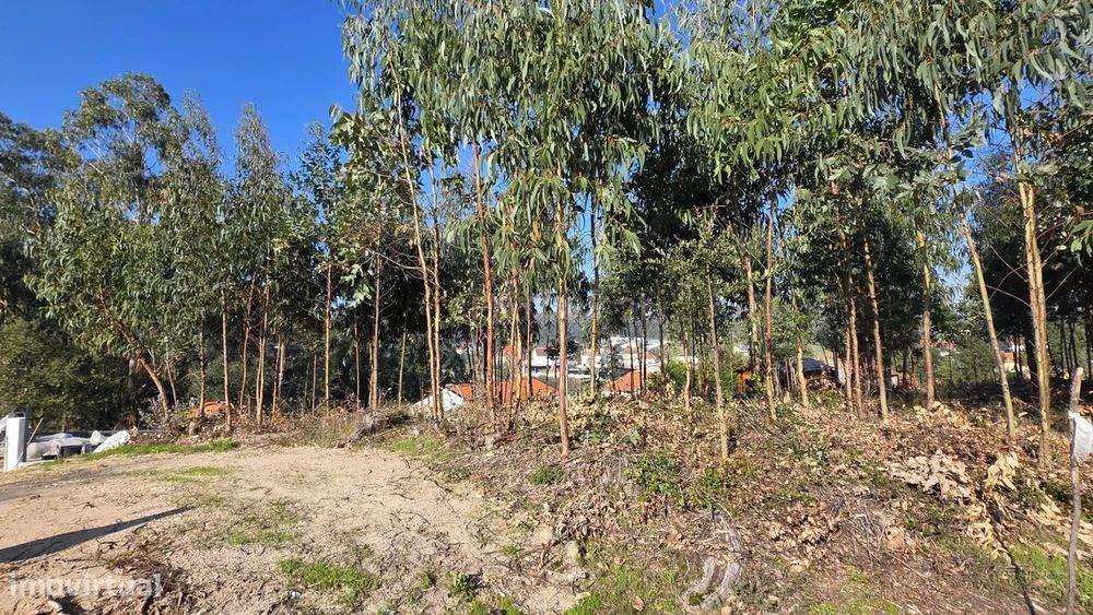 Terreno em Soure, Coimbra - Oportunidade Única de Construção