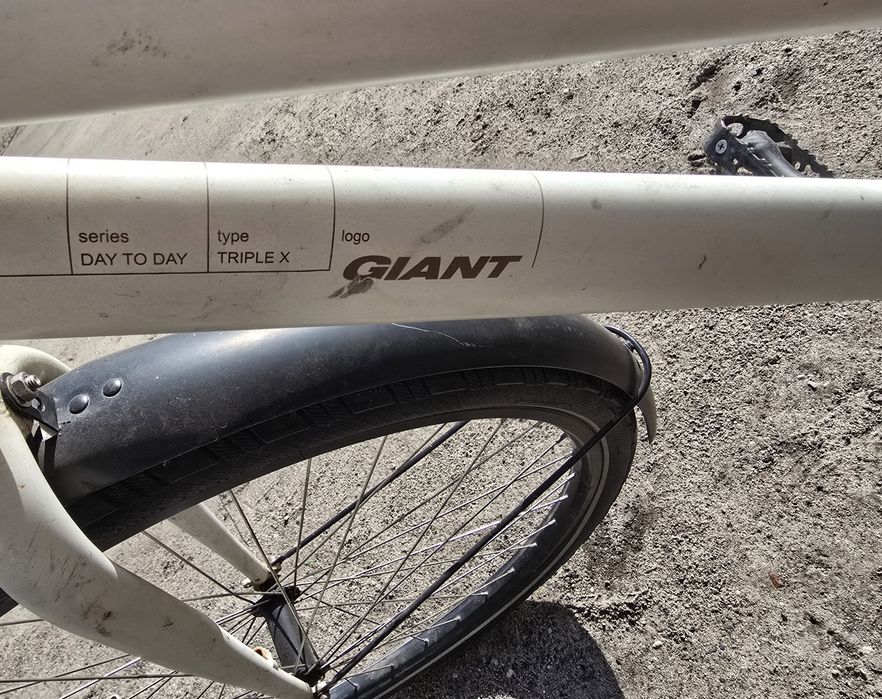 Rower Giant Triple x