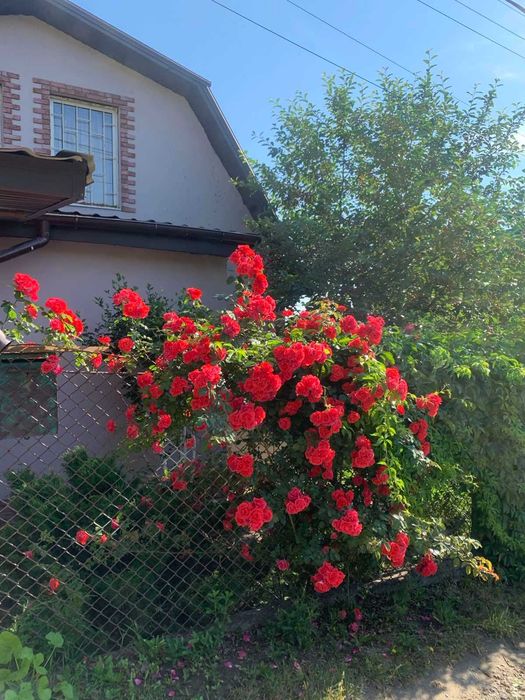 Продам  ДОМ (ДАЧУ)