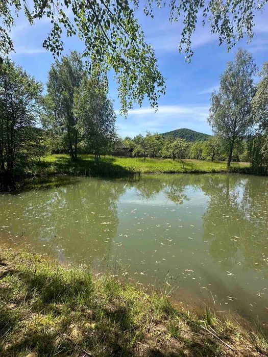 Продається земельна ділянка в с. Ракош