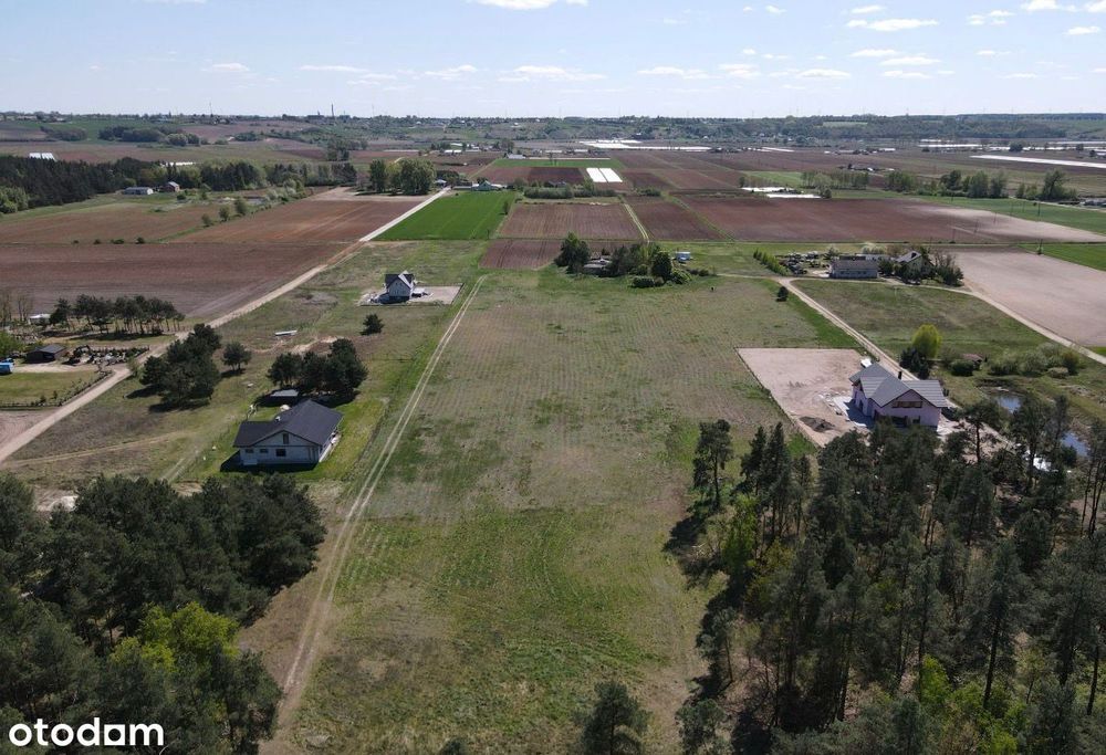 Urokliwa działka wśród zieleni z warunkami zabudowy 1800 m² - Widok 4