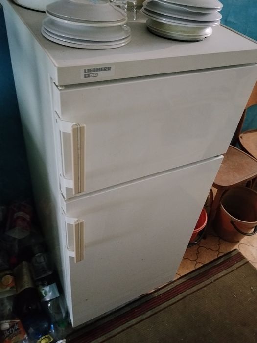 Продам будинок в селі літиня