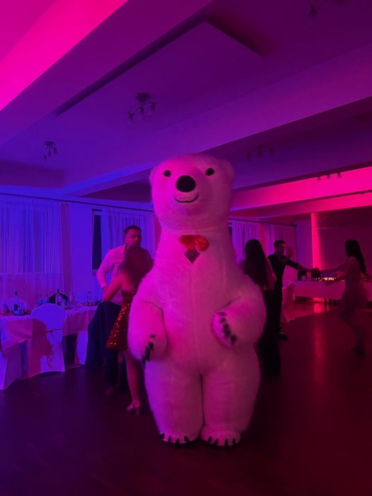 Biały Miś+Dinozaur+Wata cukrowa+PopCorn+Zakręcany ziemniak na imprezy