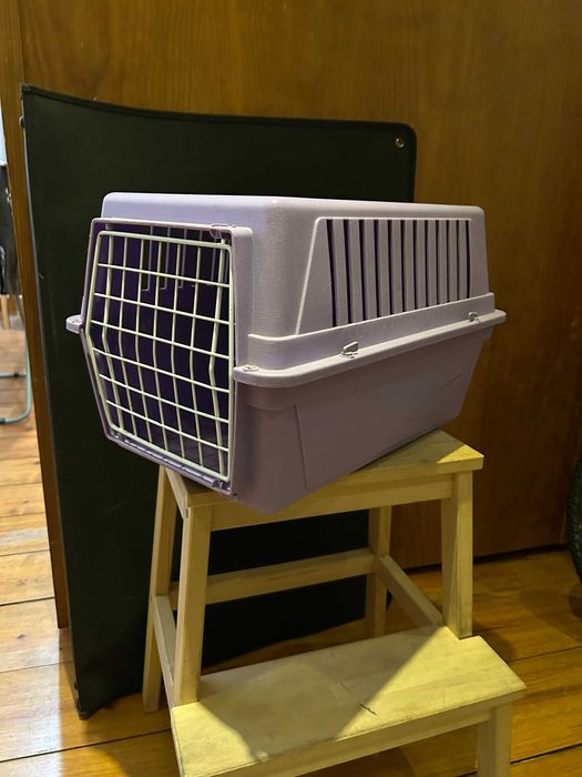 Transportadora para gato