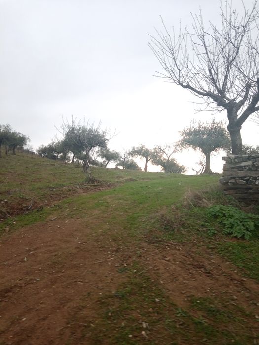 Terreno de 0,460 hectares