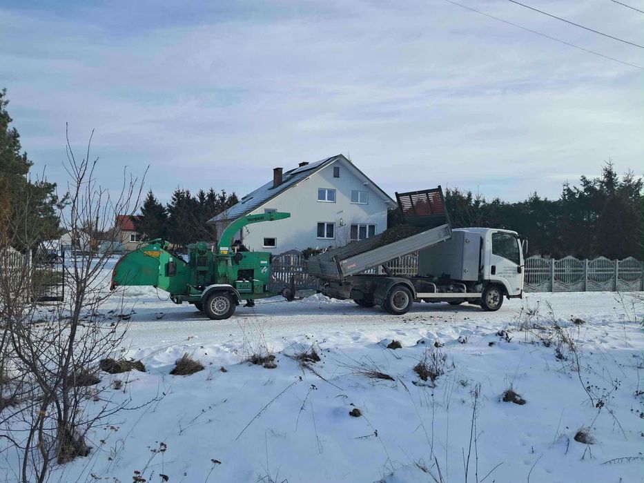 Wycinka, podcinka drzew