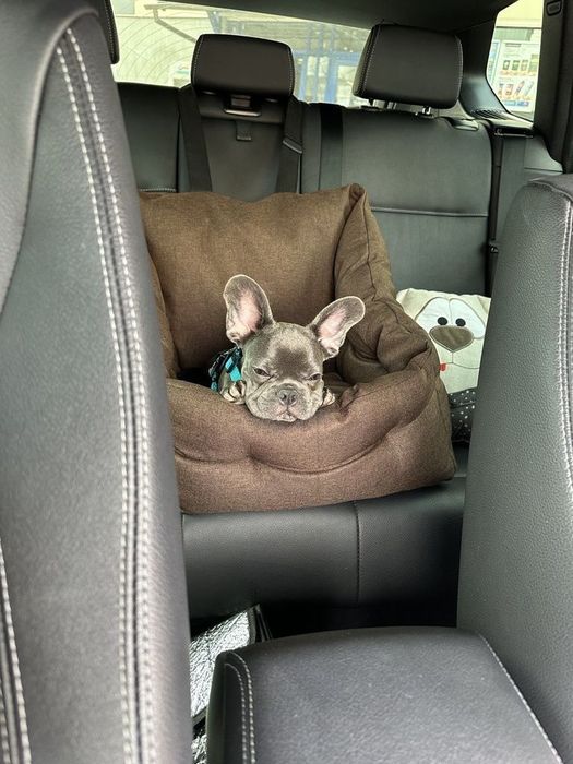 Автогамак/ автокрісло. Колір "Графіт"