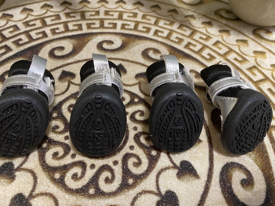 Ботинки для собак