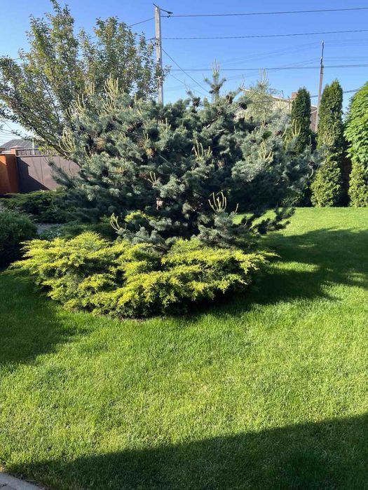 Облаштований, новий Будинок з меблями та технікою.