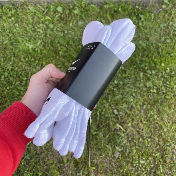 Комплект‼️ Носки Шкарпетки Nike Everyday Jordan (S по XL) (SX4508-101)