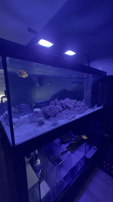 Aquário completo, com sump e móvel
