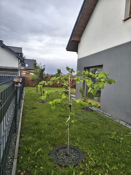 Na sprzedaż bliźniak