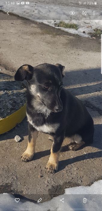 Маленька дівчинка: 1 рік, 5 кг