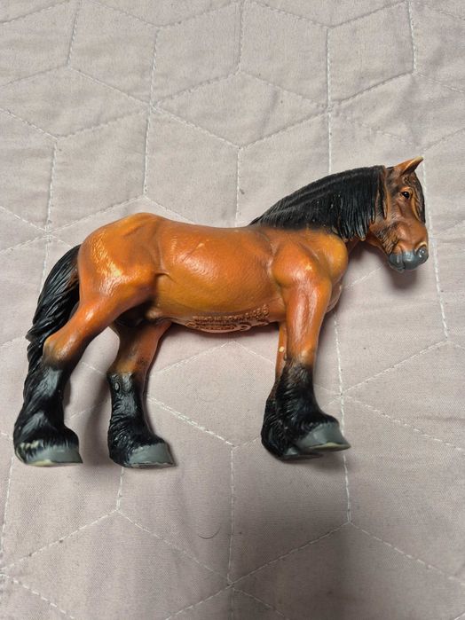 Koń collecta rossmann