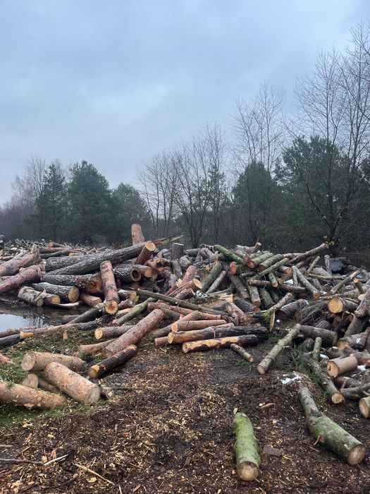 Drzewo drewno opałowe okazja sosna brzoza dąb olcha opał