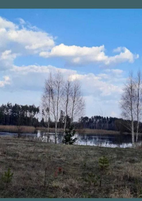 Продам ділянку 1га, на березі озера в оточені ліса