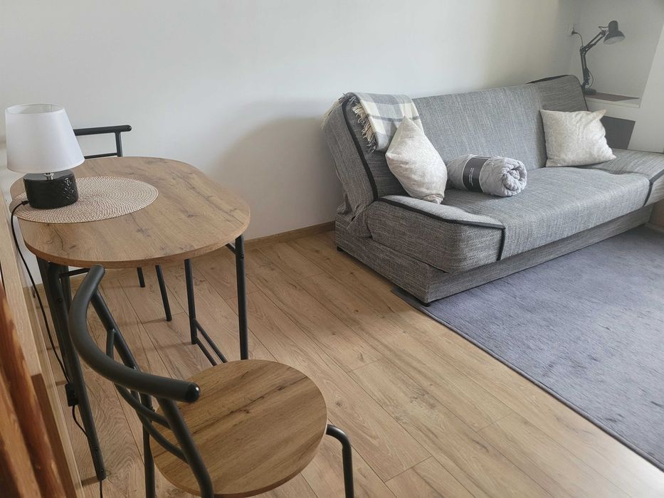 Mieszkanie do wynajęcia dla singla - oferta właściciela