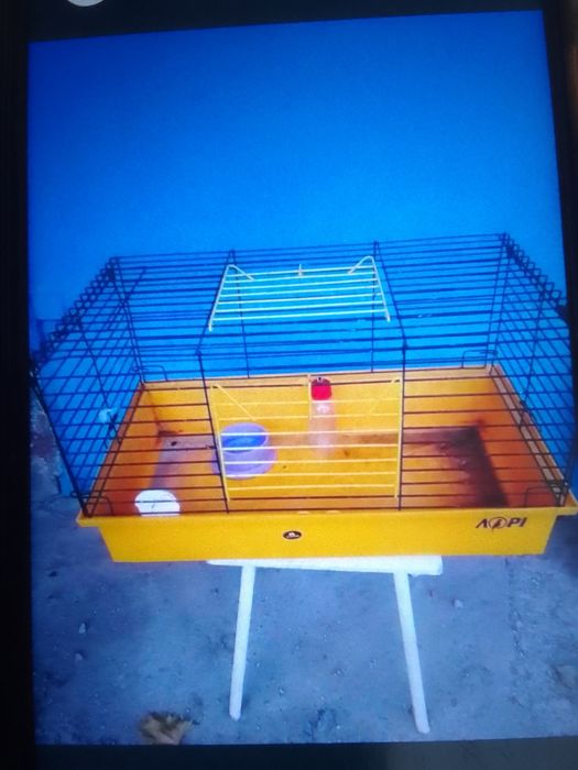 Клітки для хомячка та птичок.